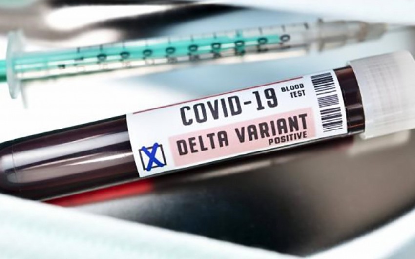 Gürcüstanda “delta plus” ştamına 10-a yaxın yoluxma qeydə alındı