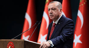 Ərdoğan: Türkiyədə meşə yanğınlarının əksəriyyəti lokallaşdırılıb