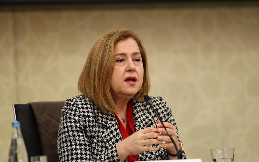“Operativ Qərargahın qurulması böyük uğurlardan biri idi” - Hande Harmancı