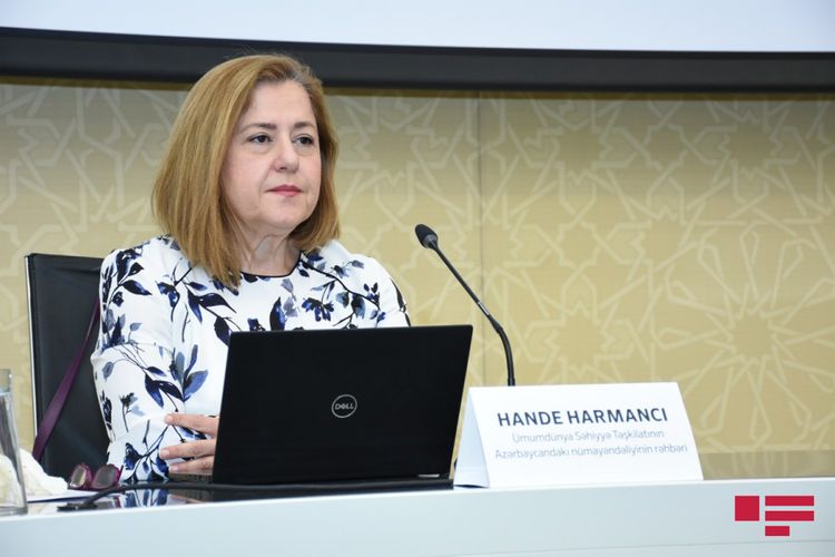 “Belə olsa, hökumətin başqa çarəsi qalmayacaq” - Hande Harmancı