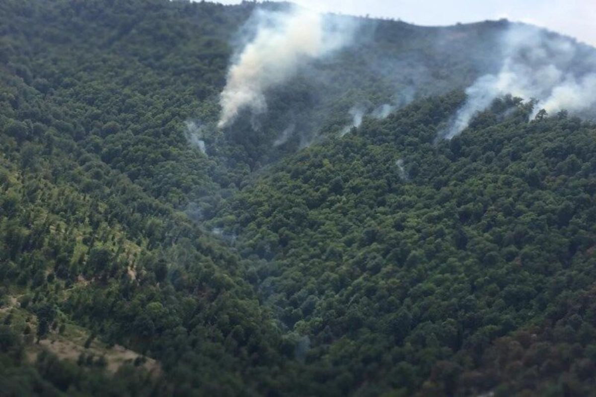 Qəbələdə yanğının söndürülməsinə helikopter cəlb olundu