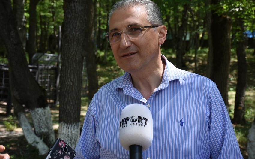 Muxtar Babayev Qəbələdə yanğın baş verən əraziyə gedib