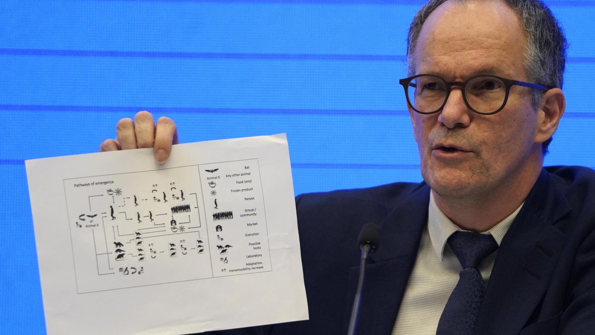 Koronavirusu ilk yayan adamı tapdılar – O əslində nə yarasa yeyib, nə də...