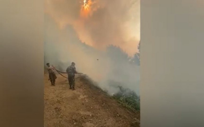 FHN: "Qəbələdəki yanğın söndürülüb"
