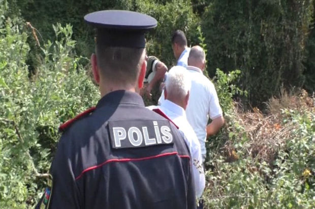 Dağın ətəyində narkotik plantasiyası salan şəxs iş başında saxlanıldı - FOTO - VİDEO