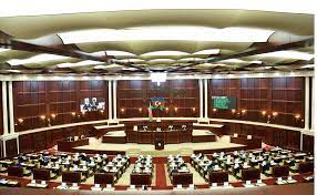 TƏBİB rəhbərliyi Milli Məclisə çağırılacaq