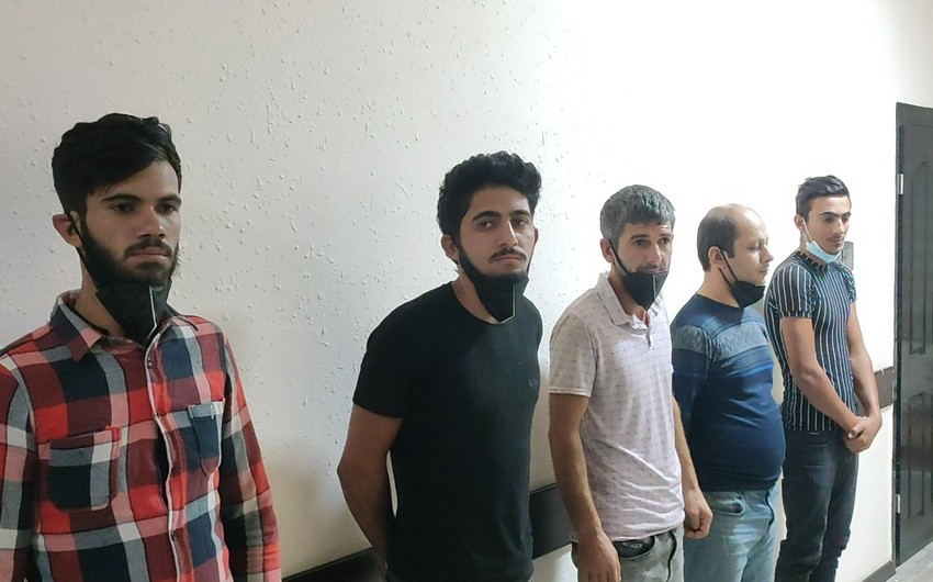 Cəlilabadda mal-qara oğurlayan dəstə saxlanıldı
