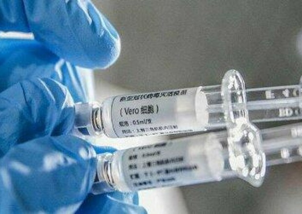 Son sutkada peyvənd olunanların sayı açıqlandı