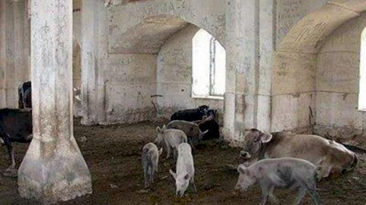 "İran məscidlərdə donuz saxlayan Ermənistana qardaş deyir"
