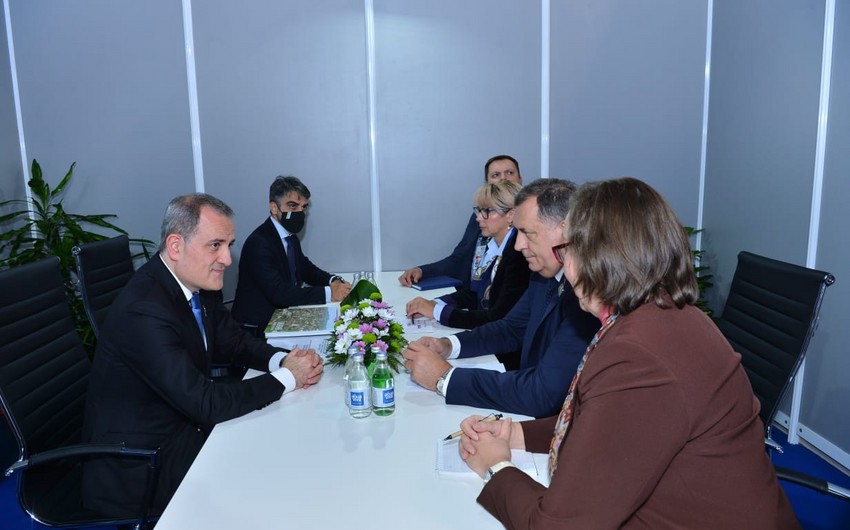 Bosniya və Herseqovina pandemiya ilə mübarizədə yardıma görə Azərbaycana təşəkkür edib - FOTO