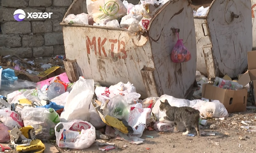 Bakıda zibilliklə bağlı iyrənc mənzərə: "Milçəklər ağzımıza dolur" - VİDEO