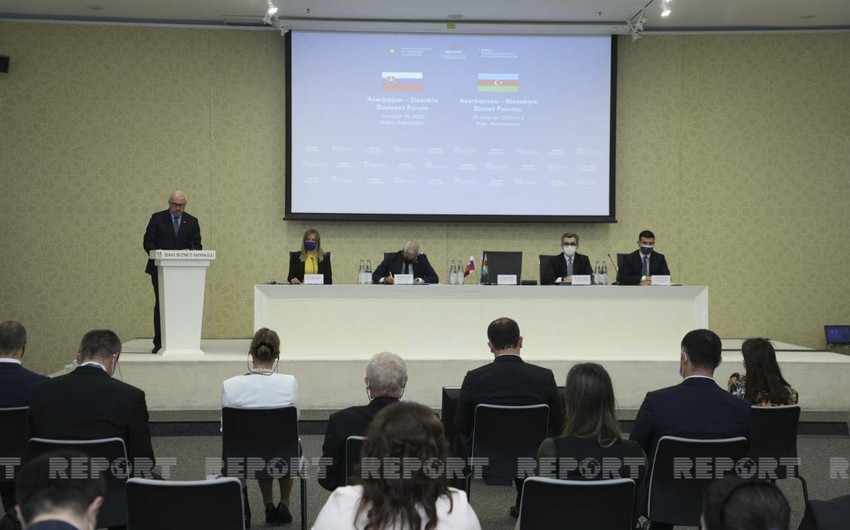 Nazir müavini: "Azərbaycan xarici investorların azad edilmiş ərazilərə cəlbində maraqlıdır"