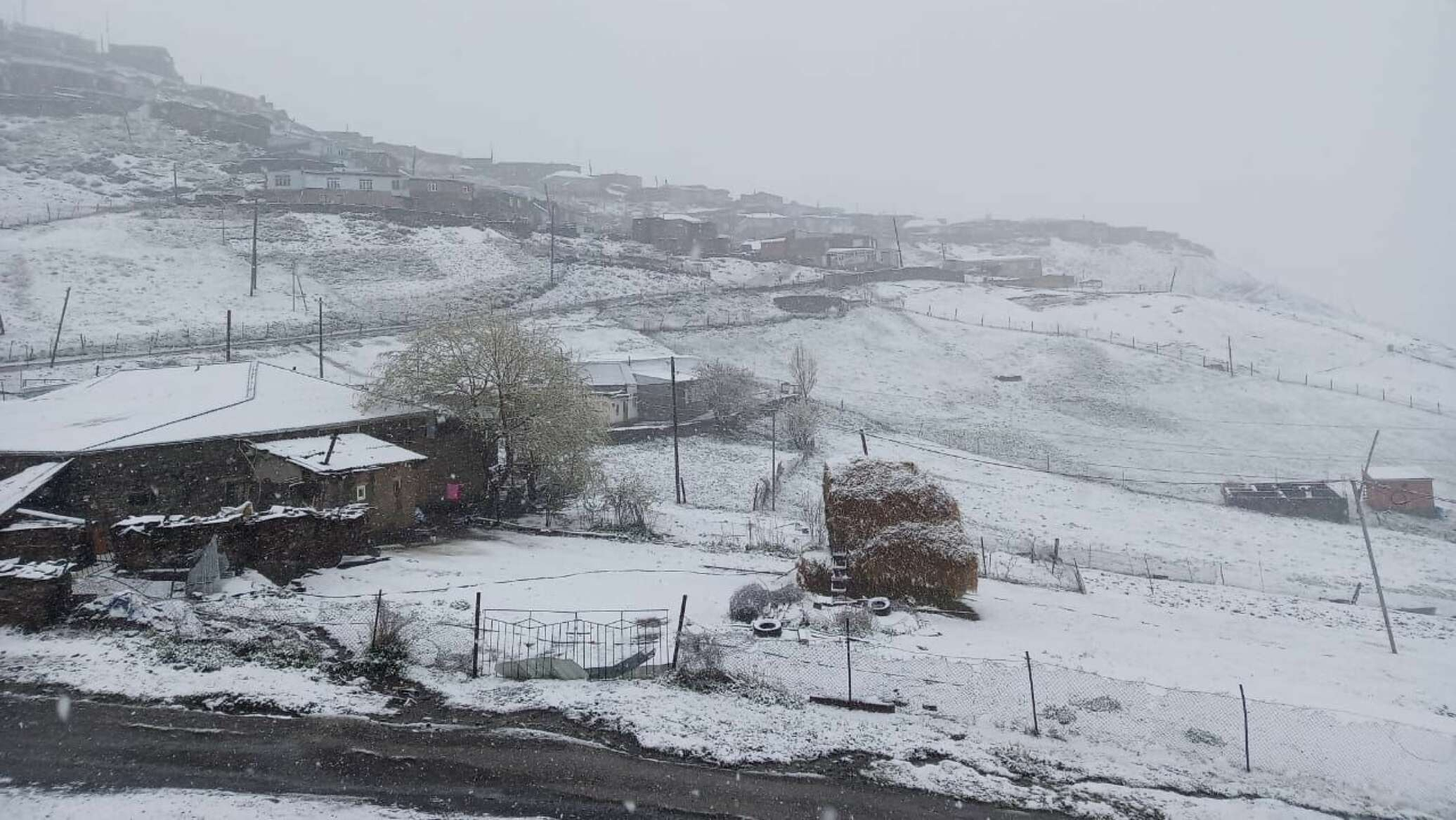 Sabah bu ərazilərdə qar yağacaq