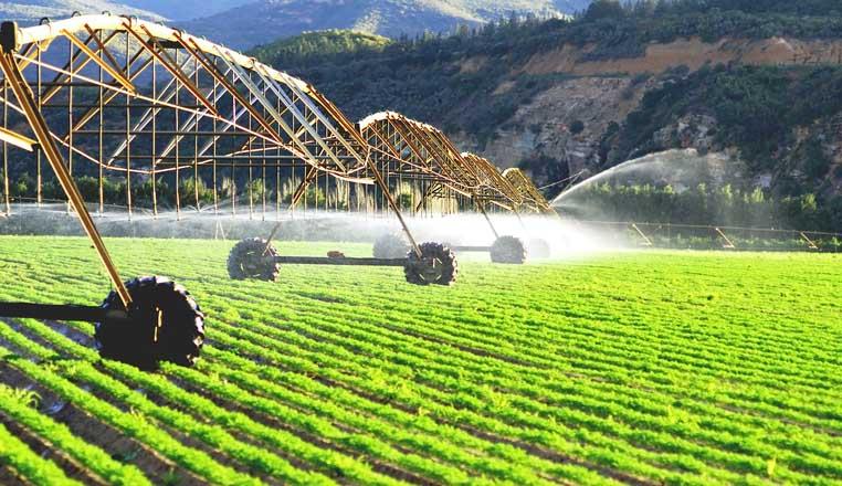 "Regionlarla paytaxt arasındakı fərq azalır və daha da azalacaq"