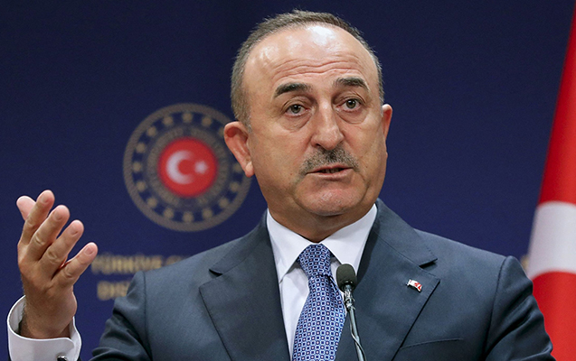 “Xarıbülbül çoşqu ilə açır” - Çavuşoğlu