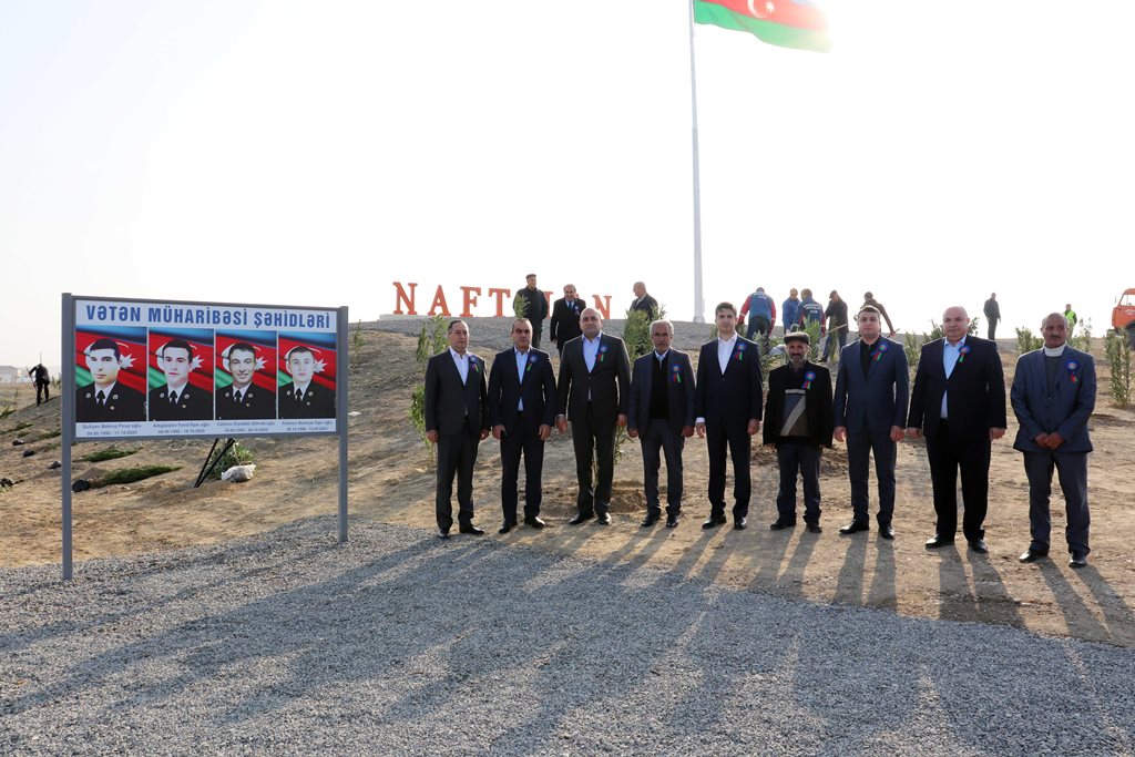 Naftalanda ağacəkmə aksiyası keçirildi - FOTOLAR
