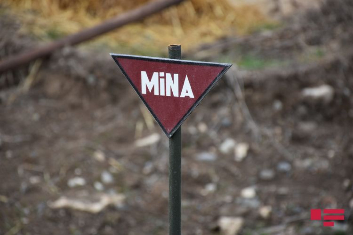 Minaya düşən şəxsin ölümü ilə bağlı bəzi detallar məlum oldu
