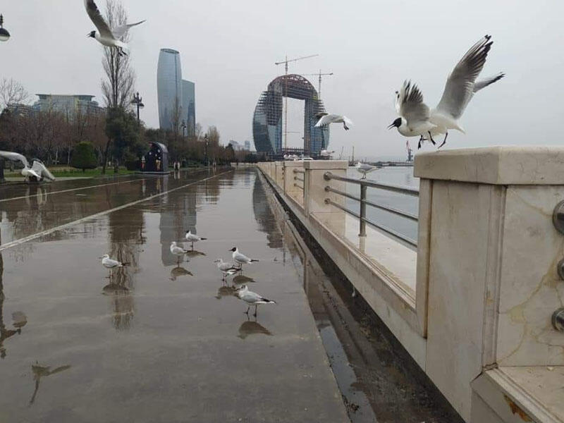 Yağıntılı hava şəraiti nə vaxta qədər davam edəcək?