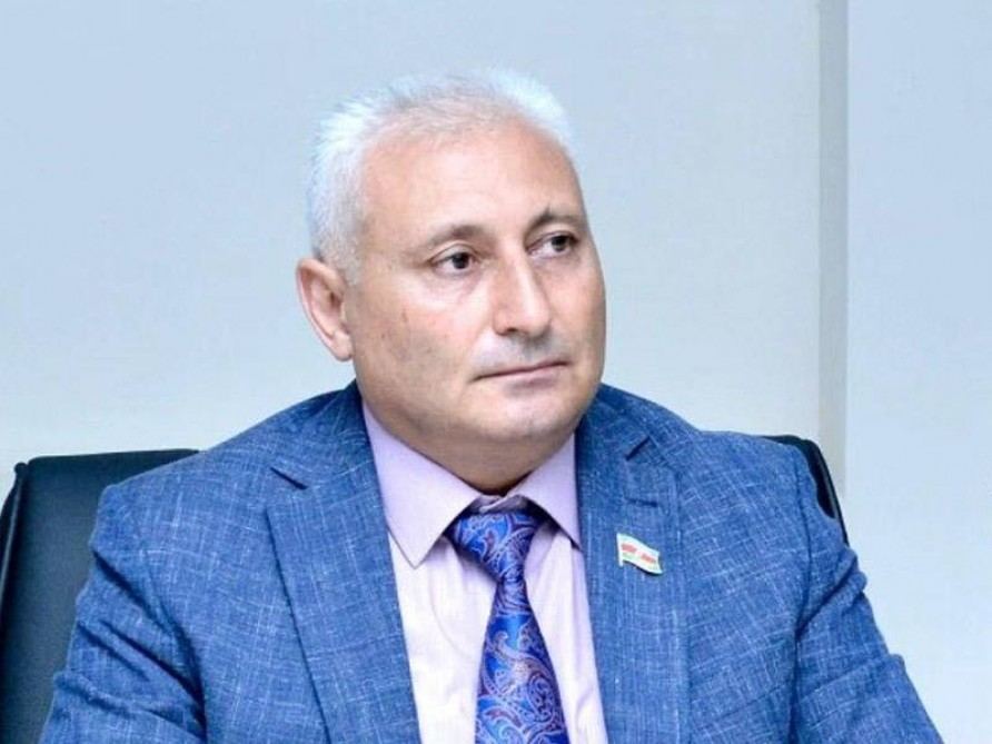 "Media haqqında qanun zərurətdən yaranıb" - Deputat