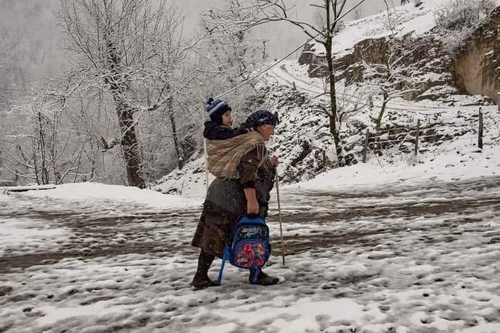 İcra başçısının müavini fotodan danışdı: “Çox gözəl mənzərədir”