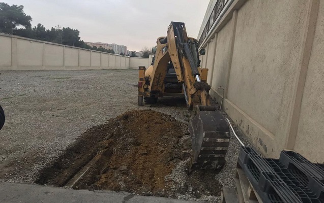 Nəriman Əliyevin ağac kəsdirməsi ilə bağlı araşdırma başladı