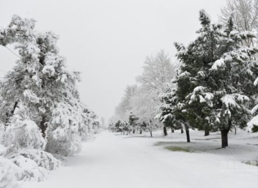 Hidrometeorologiya Xidmətindən havanın dəyişəcəyi ilə bağlı XƏBƏRDARLIQ