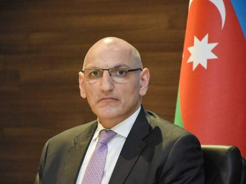 Azərbaycan Cənubi Qafqazda yeni reallıq yaradıb - Birinci vitse-prezidentin köməkçisi