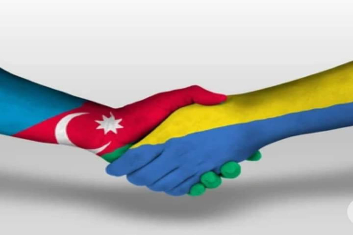 Ukrayna səfiri Azərbaycan xalqına təşəkkür etdi