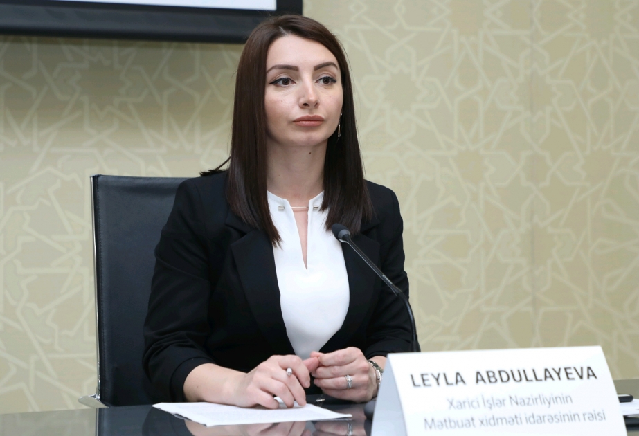 Leyla Abdullayeva: "4 minədək Azərbaycan vətəndaşı Ukraynanı tərk edib"