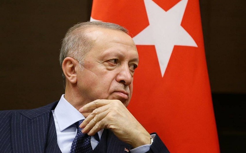 Ərdoğan Moskvaya səfəri öncəsi Avstriya kansleri ilə danışdı