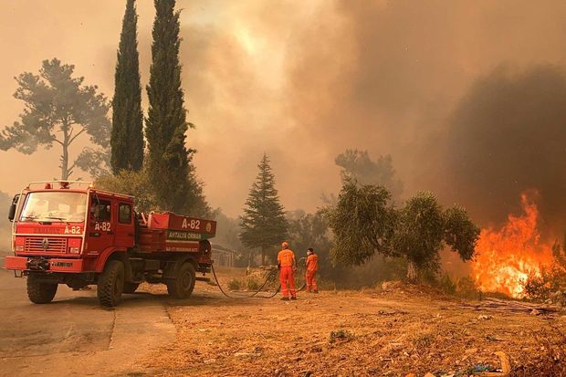 Türkiyənin qərbində meşə yanğınları tüğyan edir