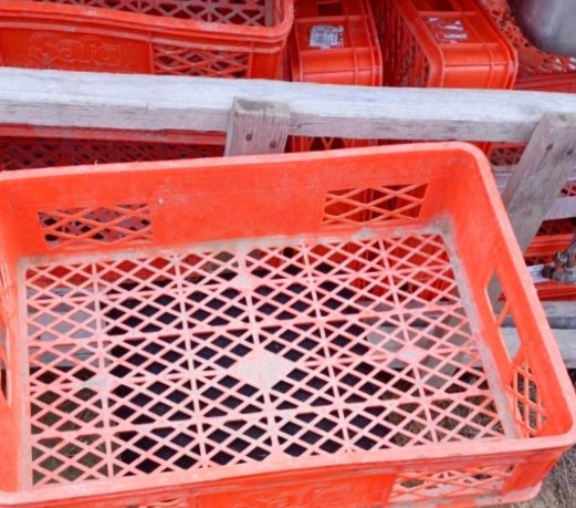 Bakıda qandonduran hadisə: marketdən yeşik oğurladı, tutulmasın deyə özünü öldürdü