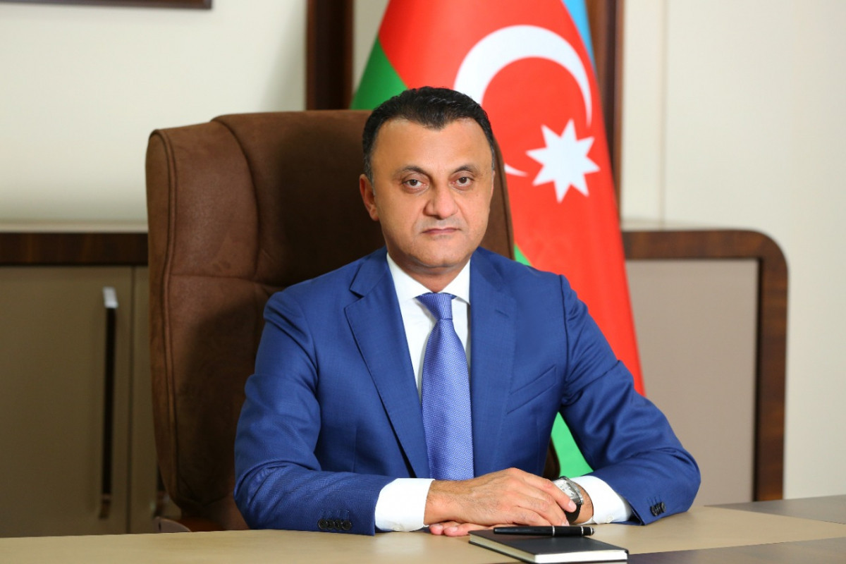 "Bakıda cəmi iki xəstəxana koronavirus xəstələri üçün çalışır"