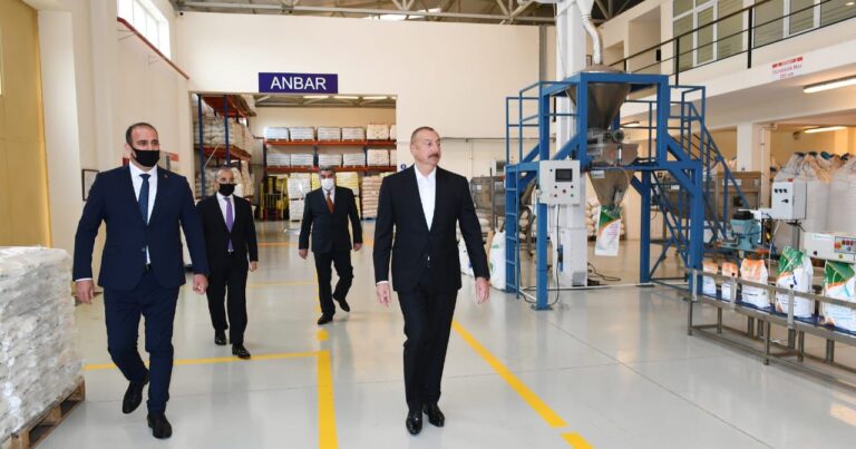 Prezident Ramazan Karaşahini təltif etdi - DOSYE