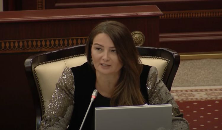 Qənirə Paşayeva bu şəxslərin pensiya yaşının 15 il azaldılmasını təklif etdi - VİDEO