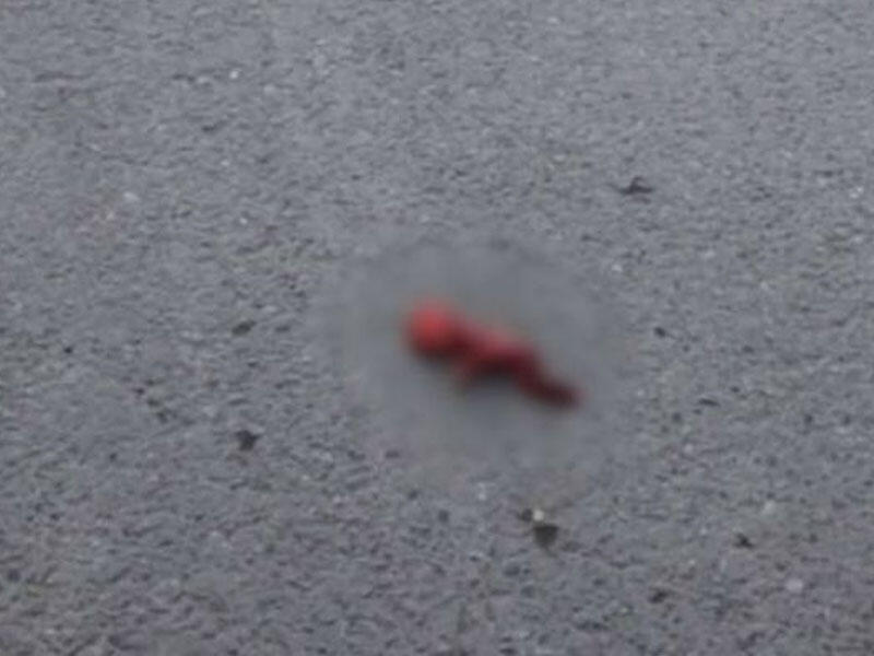 Bakıda bağ evinin həyətindən ölmüş döl tapıldı