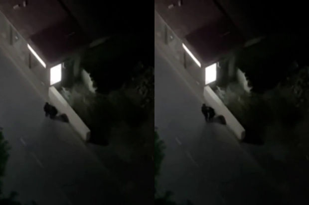 Azərbaycanda gecə küçədə döyülən qadının fəryadı: 