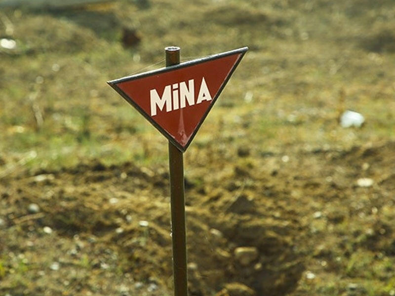 Daha 360 hektara yaxın ərazi minalardan təmizlənib