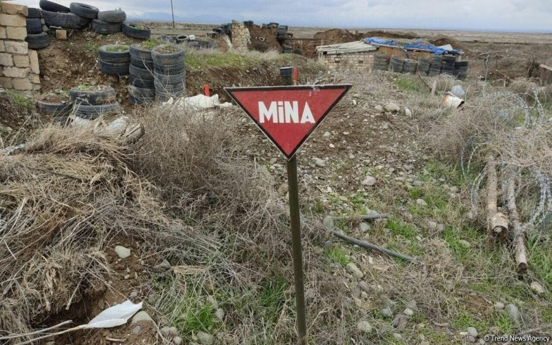 Azərbaycanda minaya düşərək ölən şəxslərin sayı AÇIQLANDI