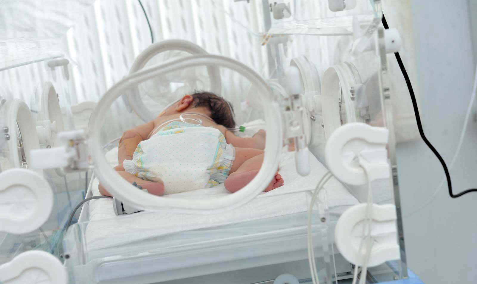 Azərbaycanda uşaqlara qoyulan rayon adları - Tovuz, Gəncə, Şəki, Şəmkir, Şuşa...