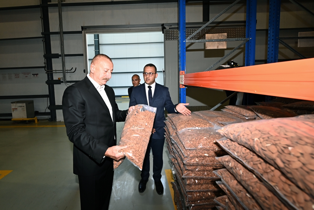 Prezident: "Fındıq bağlarının sahəsini iki dəfədən çox artırmışıq"