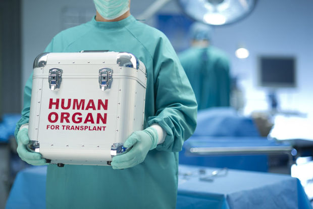 Azərbaycanda “Orqan Donorluğu və Transplantasiyası üzrə Koordinasiya Mərkəzi” yaradıldı