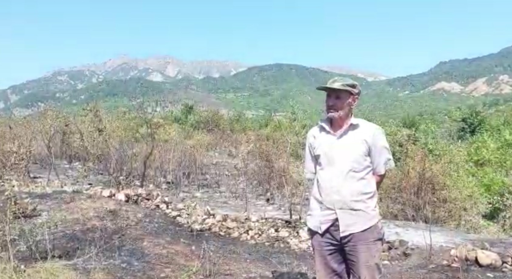 Azərbaycanda yanğın törədən şəxs müəyyənləşdirildi - VİDEO