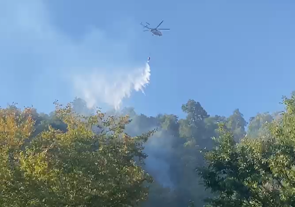 Masallıda yanğının söndürülməsində iki helikopter iştirak edir - VİDEO