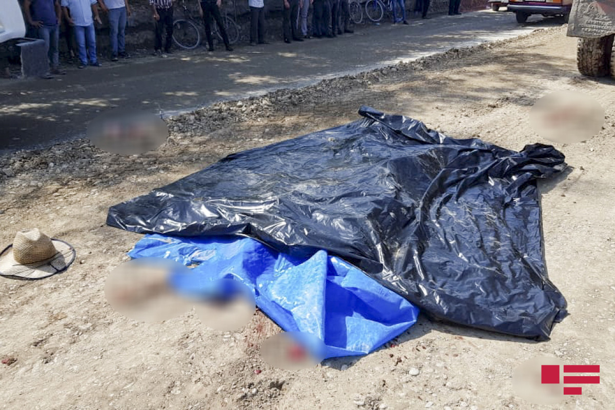 Tovuzda ağac aşdı - 3 yaşlı uşaq və yeniyetmə öldü