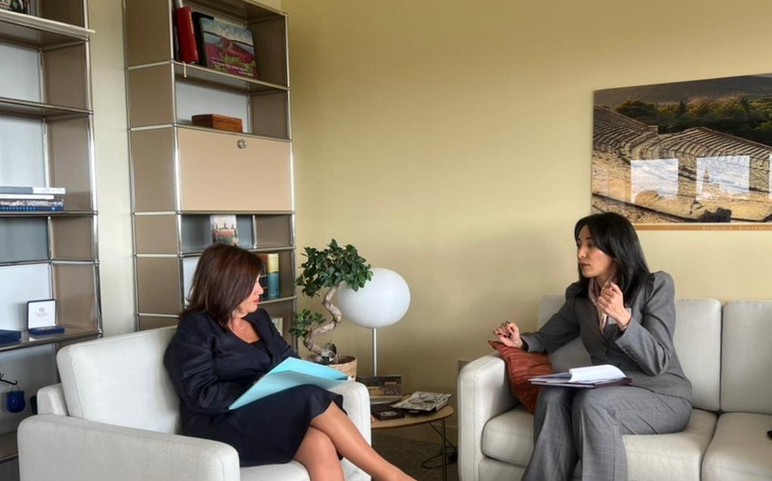 Ombudsman AŞPA-nın Baş katibinə Ermənistanın mina xəritələrini təqdim etməsinin vacibliyini bildirib