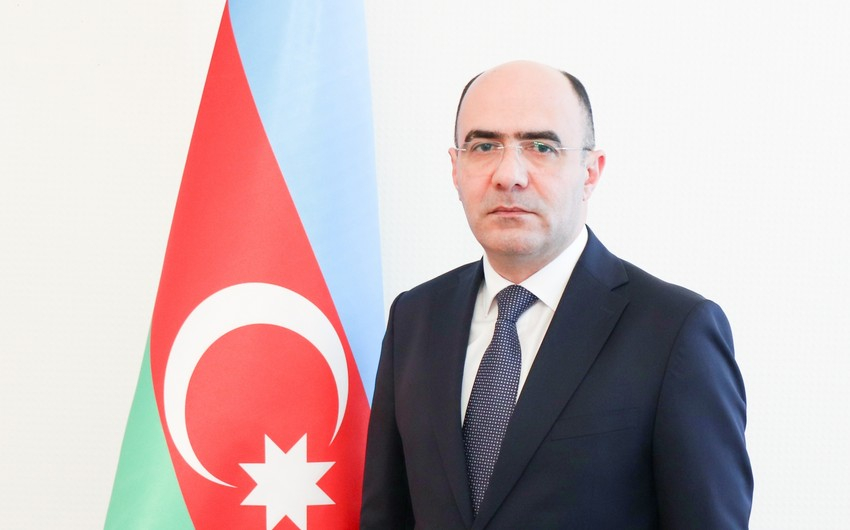 Nazir müavini: "Əczaçılıq sahəsində ciddi problemlər var"