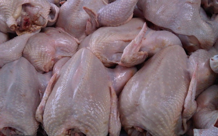 Azərbaycana beş ölkədən quş ətinin idxalına məhdudiyyət qoyuldu