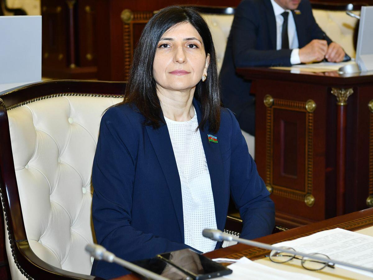 “Aparılan sürətli bərpa-quruculuq işləri də Azərbaycanın gücünün göstəricisidir”
