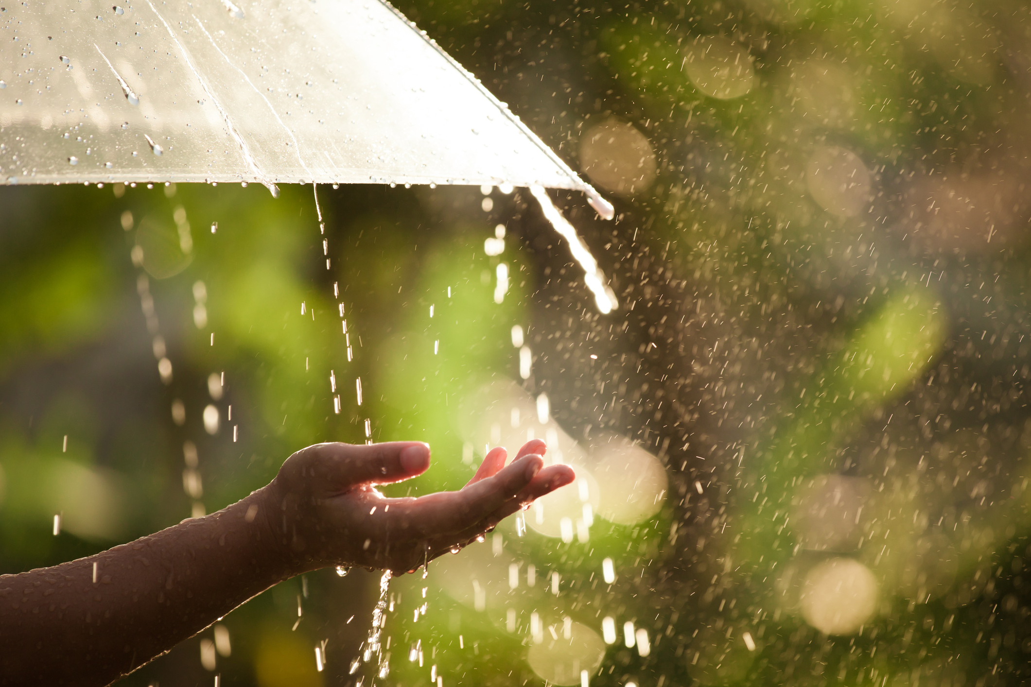 Yağışlı hava nə vaxta qədər davam edəcək?